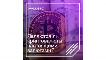 Что такое криптовалюта и настоящая ли она