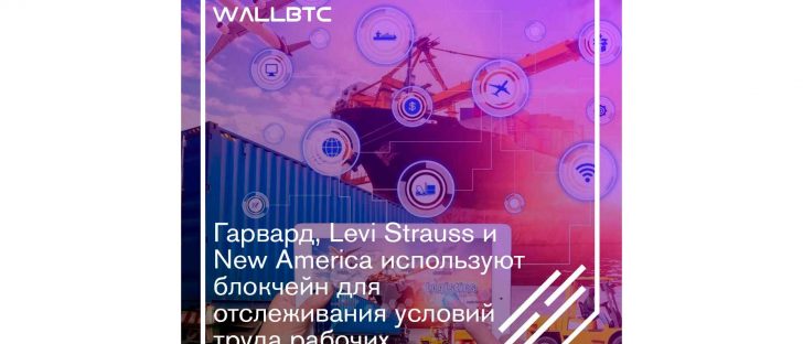 Гарвард, Levi Strauss и New America используют блокчейн для отслеживания условий труда рабочих