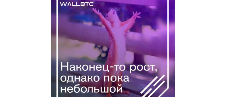 Небольшое укрепление – Bitcoin немного вырос