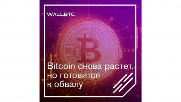 Новый рост Bitcoin – быть или не быть
