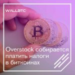 Overstock.com будет использовать криптовалюту для уплаты налогов