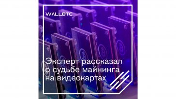Жив ли майнинг на видеокартах