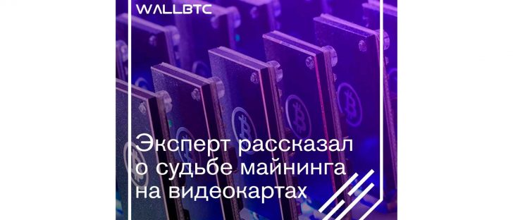 Жив ли майнинг на видеокартах