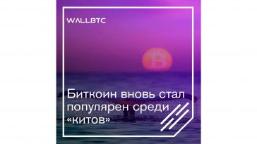 “Киты” опять влюблены в Bitcoin
