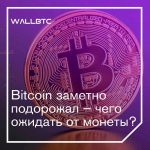 Bitcoin заметно подорожал – чего ожидать от монеты