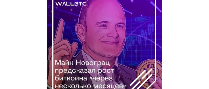 Майк Новограц предсказал рост биткоина «через несколько месяцев»