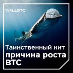 Некий таинственный “кит” спровоцировал рост Bitcoin