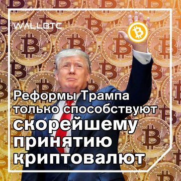 Трамп своими решениями только продвигает криптовалюты