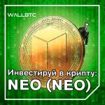 Инвестиции в криптовалюту: NEO