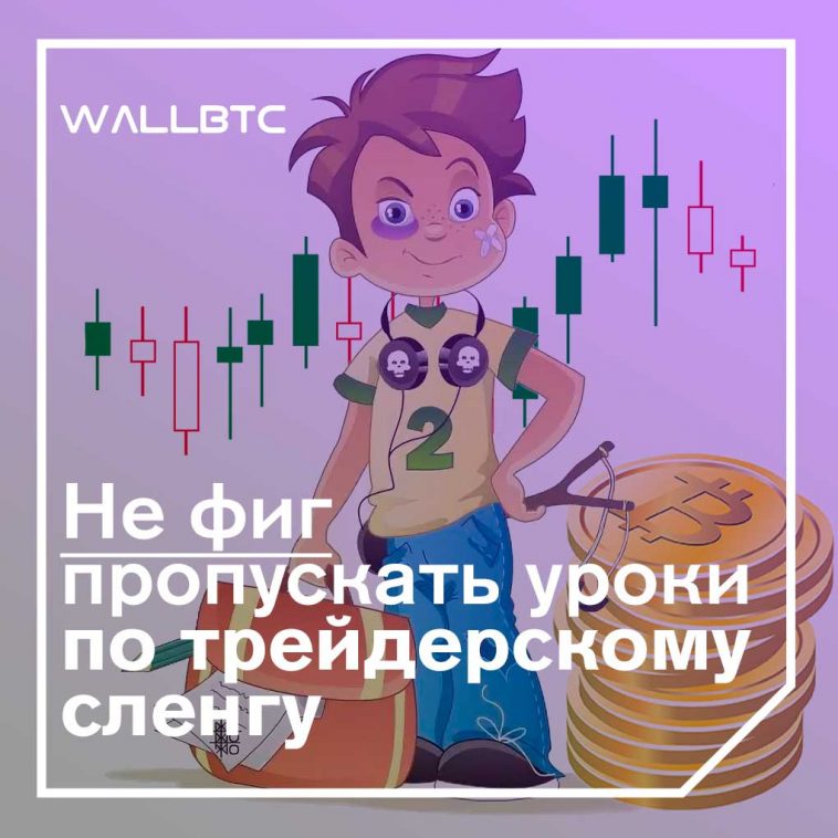 wallbtc miss class slang cryptotrader trader chart bitcoin btc schoolchild child picture jpg