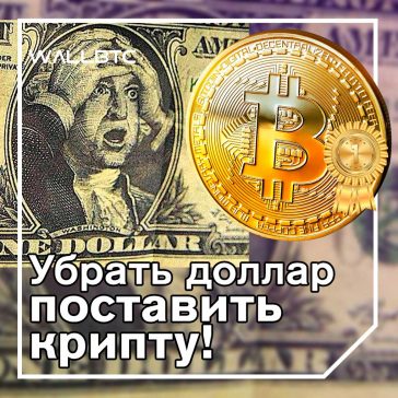 Просьба год думе: убрать доллар, а поставить крипту