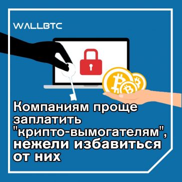 в большинстве случаев вымогателям крипты просто платят
