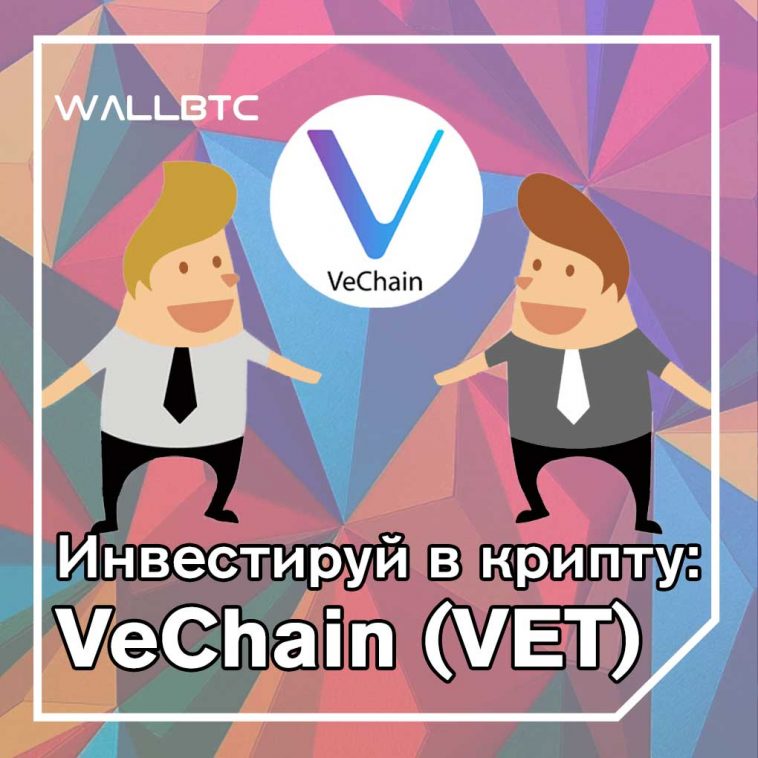 Инвестиции в криптовалюту: VeChain (VET)