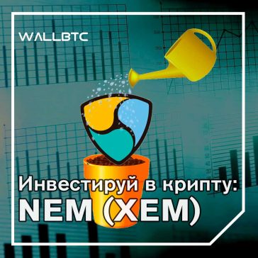 Инвестиции в криптовалюту: NEM (XEM)