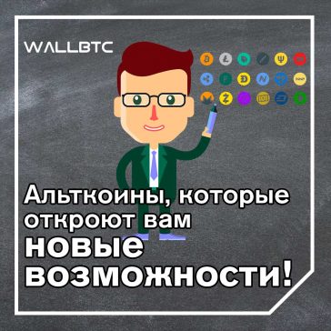Самые важные альтернативы биткоину, которые вы должны знать