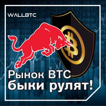 Bitcoin контролируют быки