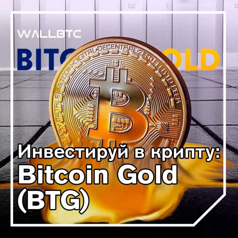 Инвестиции в криптовалюту: Bitcoin Gold (BTG)
