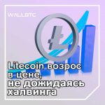 Новый скачок Litecoin в преддверии халвинга - $116