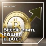 Bitcoin возвращается в 8%