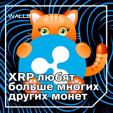 Опрос Weiss Ratings: XRP более популярен, чем Cardano и Tron