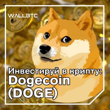 Инвестиции в криптовалюту: Dogecoin (DOGE)