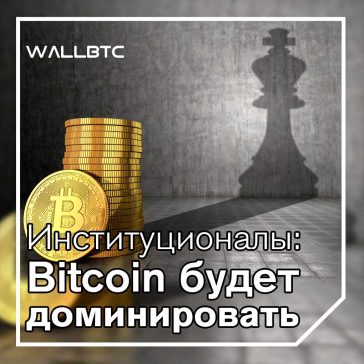 Инвесторы: господство Bitcoin сохранится на протяжении 2019 года