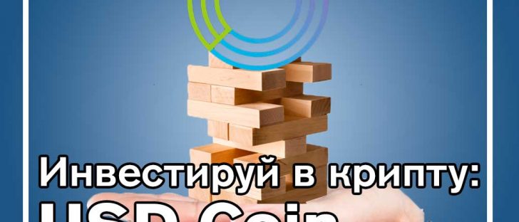 Инвестиции в криптовалюту USD Coin (USDC)