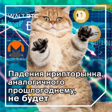 Аналитики: обвала криптовалют, как в 2018 году, не произойдет