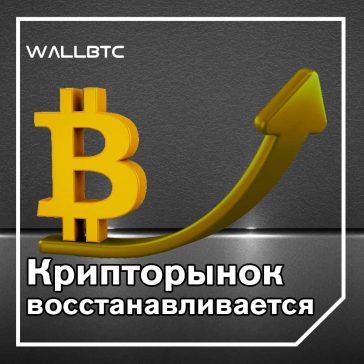 Биткойн вернулся выше $ 8000, а LTC набирает обороты