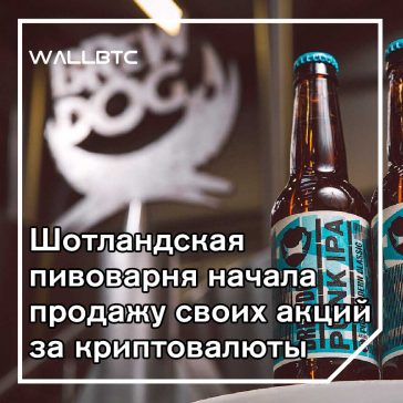 Шотландская пивоварня начала продажу своих акций за криптовалюты