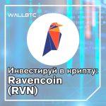Инвестиции в криптовалюту: Ravencoin (RVN)