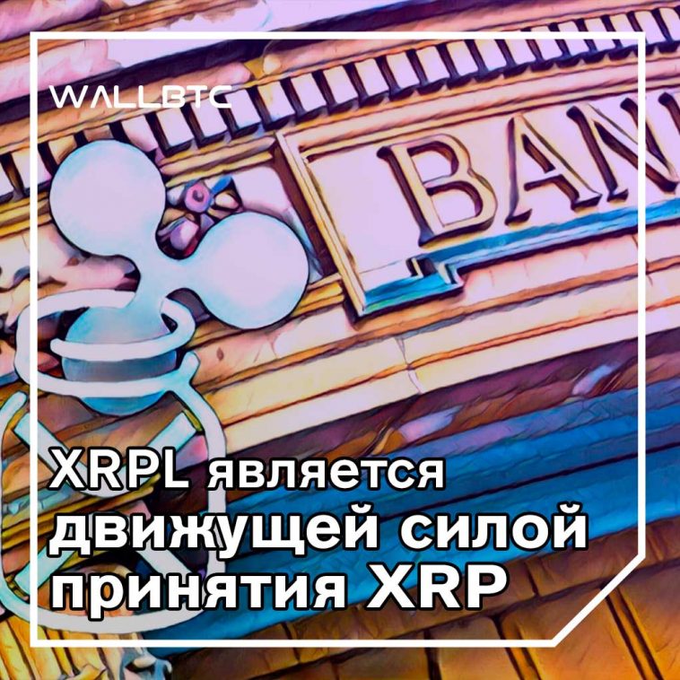 XRPL является движущей силой принятия XRP