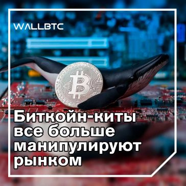 Манипуляция с биткойн-китами в овердрайве происходит по мере увеличения внезапных сбоев