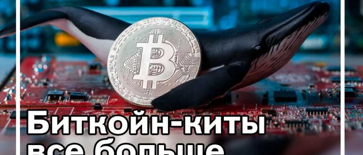 Манипуляция с биткойн-китами в овердрайве происходит по мере увеличения внезапных сбоев