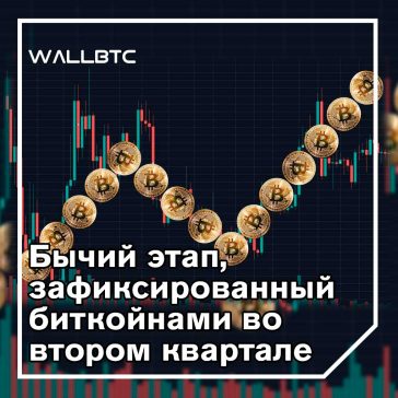 Качество службы крипто-платежей растет