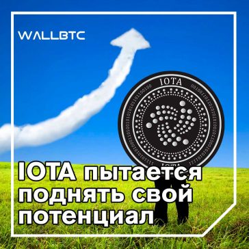 IOTA выделяет грант в размере 5 миллионов долларов для потенциальных разработчиков проекта Coordicide
