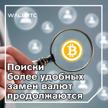 Самый молодой биткойн-миллионер поставит все на платформу «Метал Пэй»