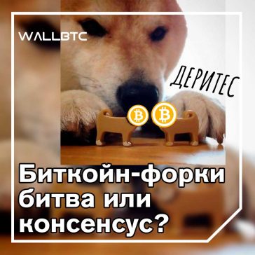 Дешевые тарифы и высокая пропускная способность могут централизовать сети и лишить возможностей майнеров