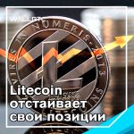 Член фонда Litecoin опровергает прежние заявления о «отказе от разработчика» на фоне позитивных настроений