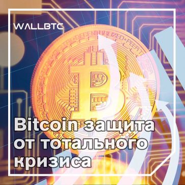 Индексы падают, а криптовалюта всё равно растет - в чем секрет?