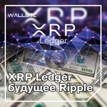 Главный технический директор Ripple «обеспокоен» по поводу дистрибуции XRP