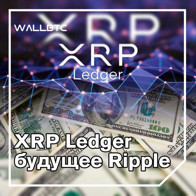 Главный технический директор Ripple «обеспокоен» по поводу дистрибуции XRP