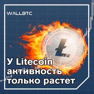 Торговая активность Litecoin увеличилась во время бычьей и медвежьей фазы