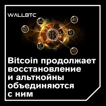 Цена на биткойны поднимается до $ 8600, а Altcoins следуют за ним