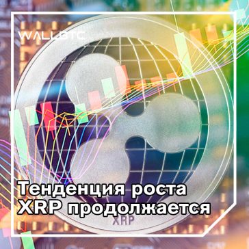 Генеральный директор Ripple: благодаря MoneyGram и другим денежным переводам на 50% увеличились транзакции XRP