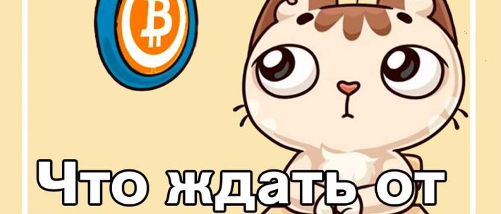 Прогноз стоимости Bitcoin на ноябрь 2019 года