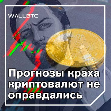 Медведи оказались неправы: биткойн все еще силен