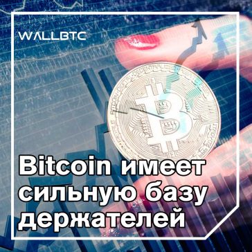 Держатели биткойнов остаются сильными, так как 11 миллионов BTC остаются неактивными в 2019 году