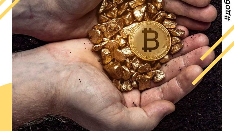 Как добывать Bitcoin Gold в 2020 году. Руководство для начинающих