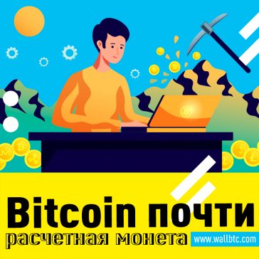 Новое исследование: 23 миллиона компаний владеют биткойнами